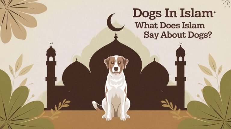 Read more about the article Dogs In Islam: What Does Islam Say About Dogs