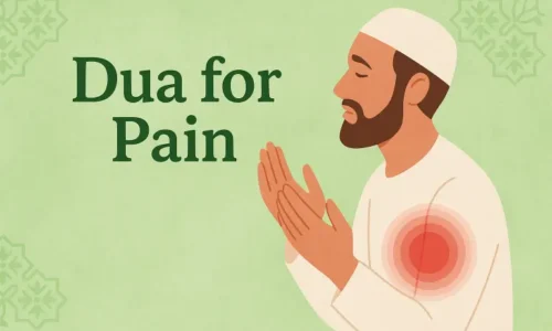 Dua for Pain: Quranic Verses and Sunnah Prayers for Relief