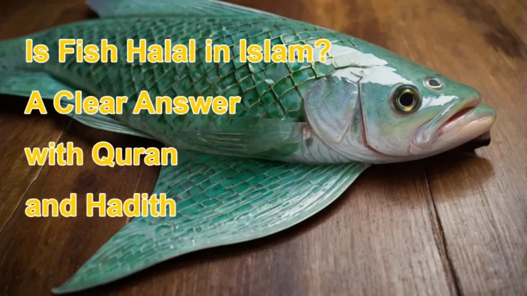 Read more about the article Is Fish Halal in Islam? A Clear Answer with Quran and Hadith